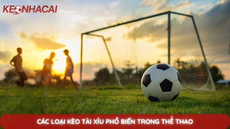 Các loại kèo tài xỉu phổ biến trong thể thao