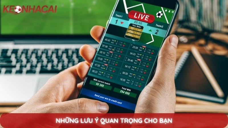 Những lưu ý quan trọng cho bạn